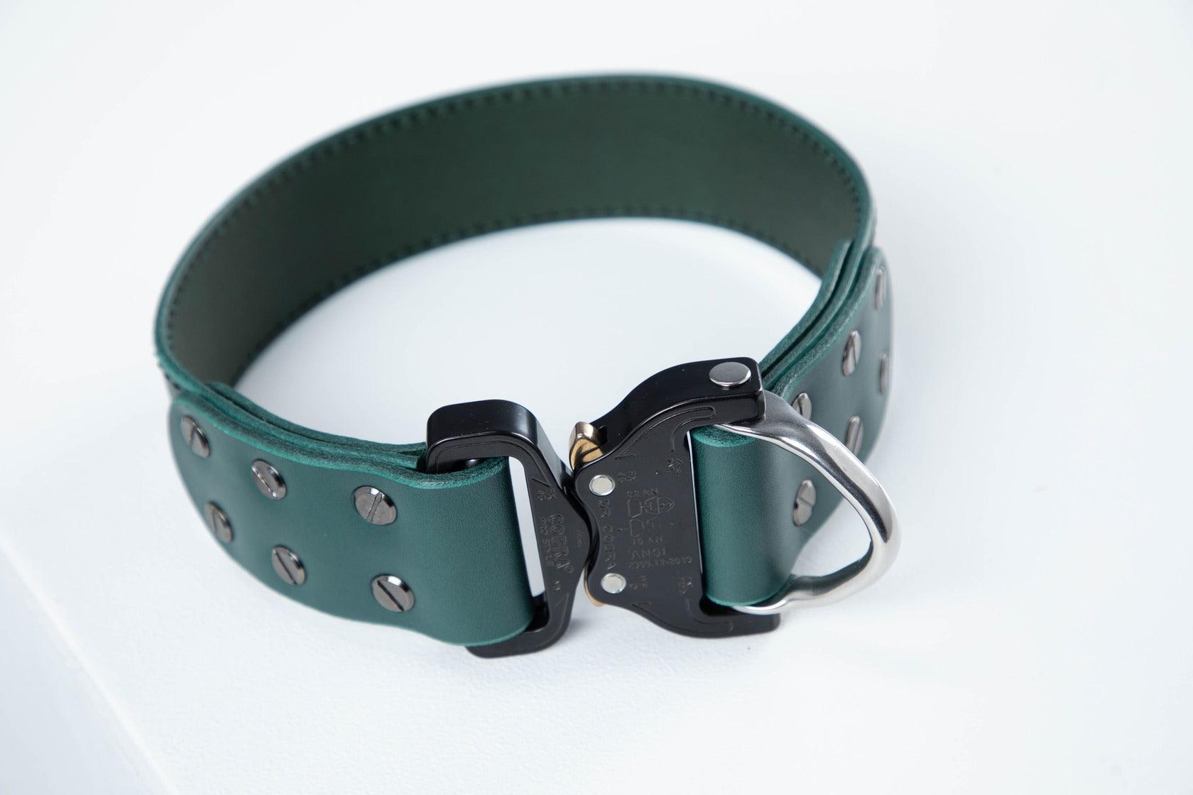 Green leather dog collar with COBRA® buckle - premium dog goods handmade in Europe by animalistus