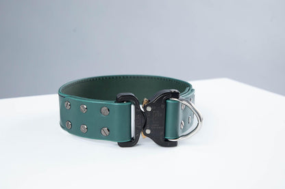 Green leather dog collar with COBRA® buckle - premium dog goods handmade in Europe by animalistus