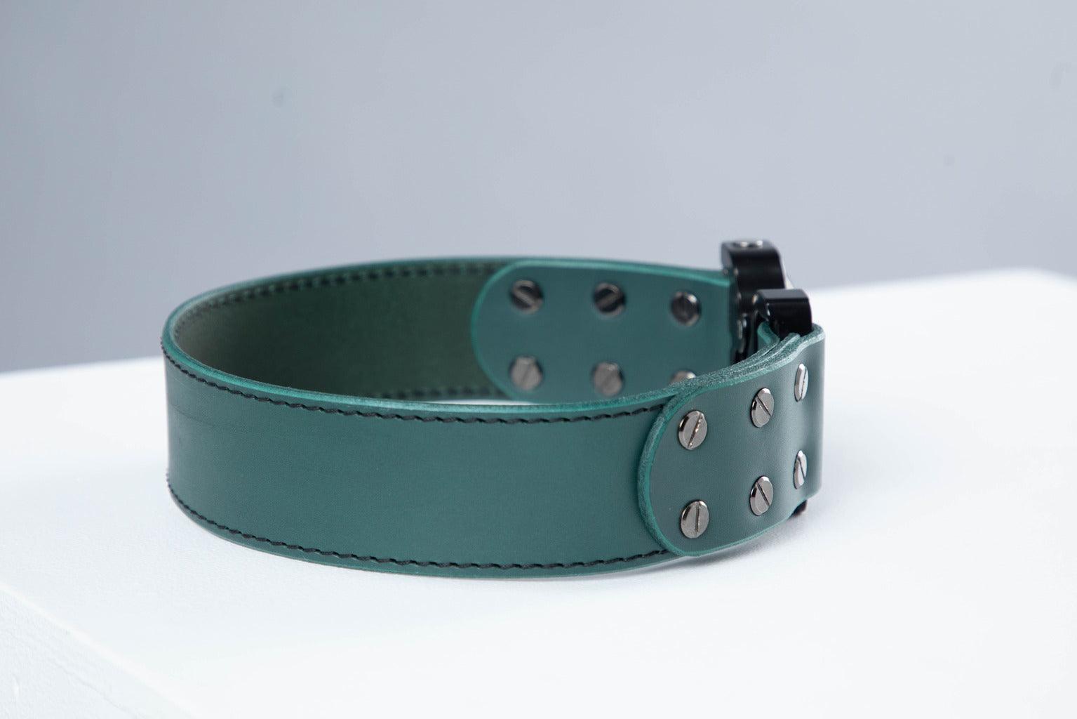 Green leather dog collar with COBRA® buckle - premium dog goods handmade in Europe by animalistus