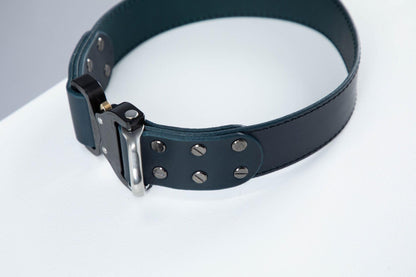 Blue leather dog collar with COBRA® buckle - premium dog goods handmade in Europe by animalistus