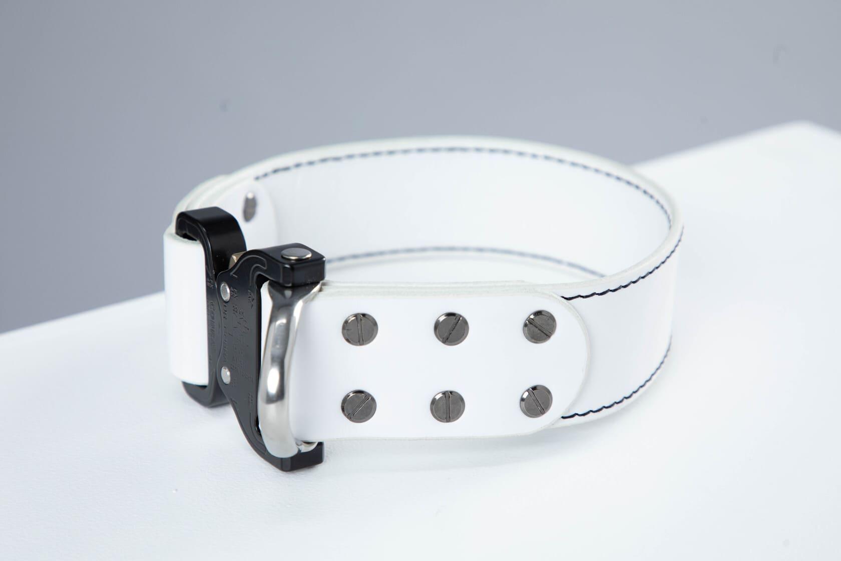 White leather dog collar with COBRA® buckle - premium dog goods handmade in Europe by animalistus